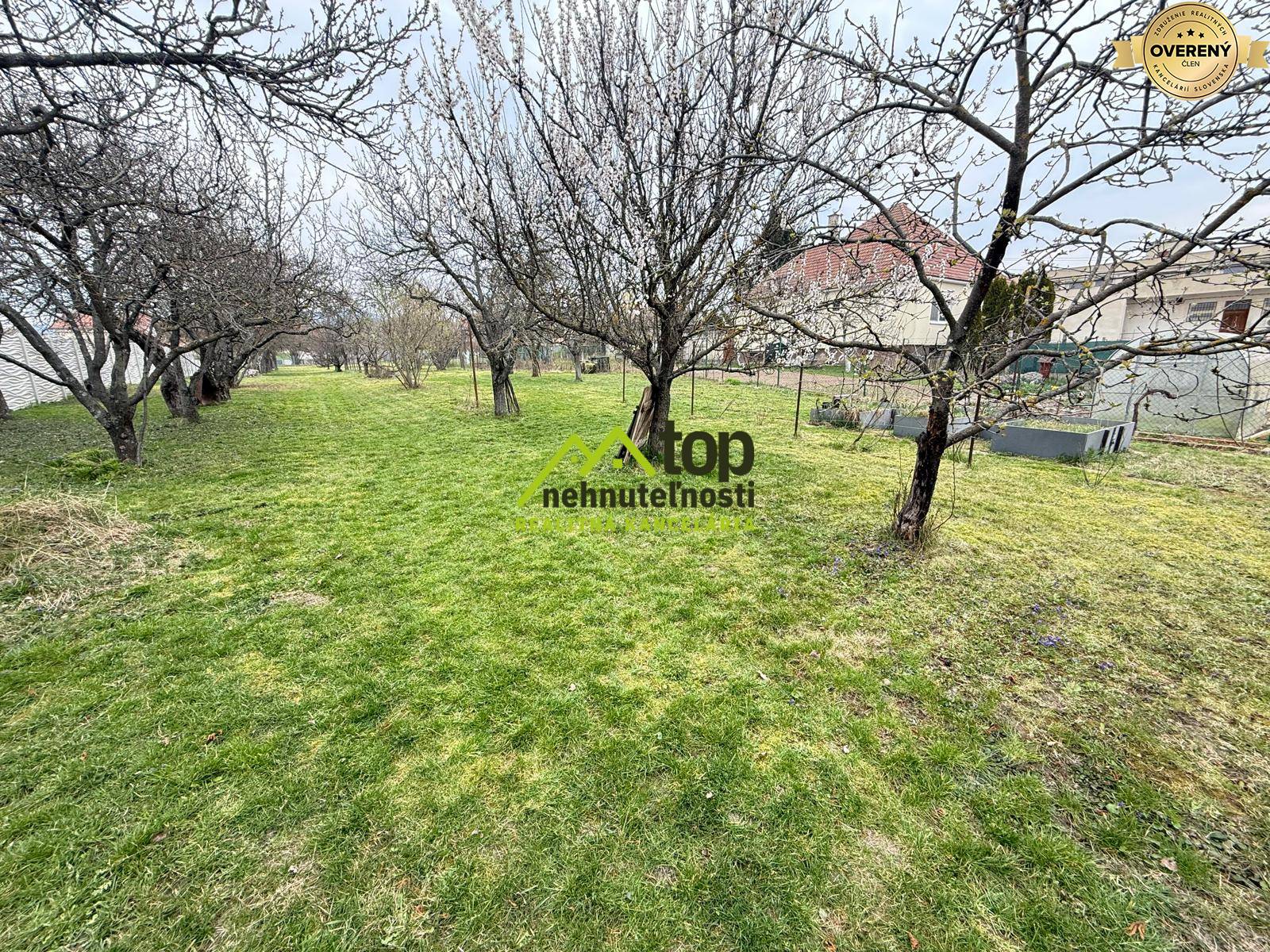 WhatsApp Image 2026-03-23 at 09.42.03.jpeg