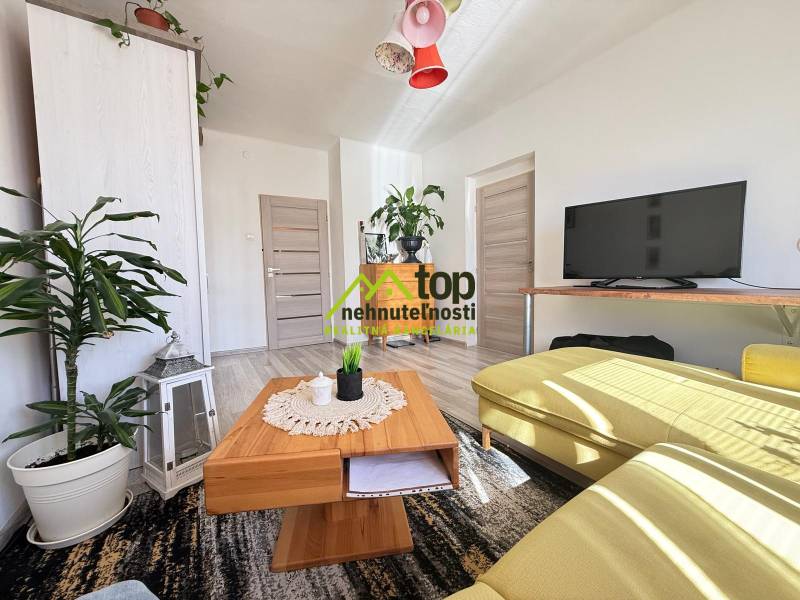 Obývačka v 3-izbovom byte s pohodlným gaučom, TV a rastlinami.